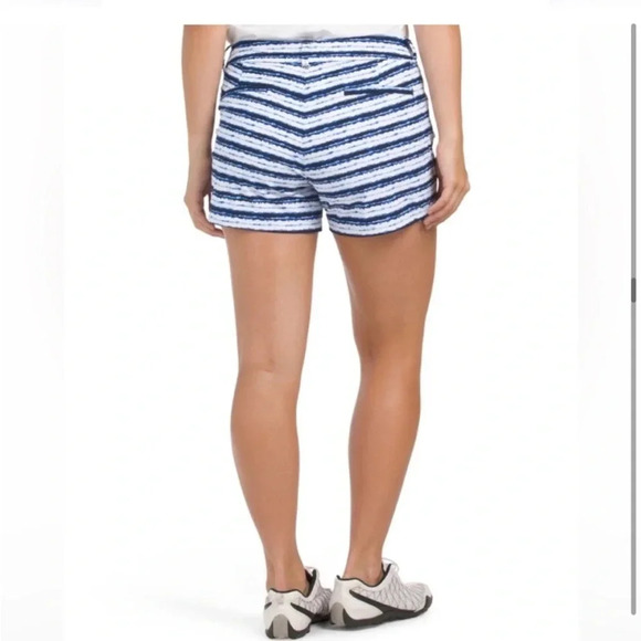 Spanx Sunshine Shorts, 6" Blue Painted Stripe Size M Medium - Picture 2 of 7